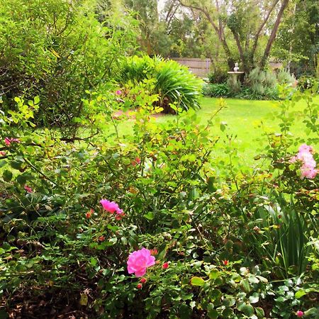 Bindley House B&B Cottage Kilmore Exteriör bild