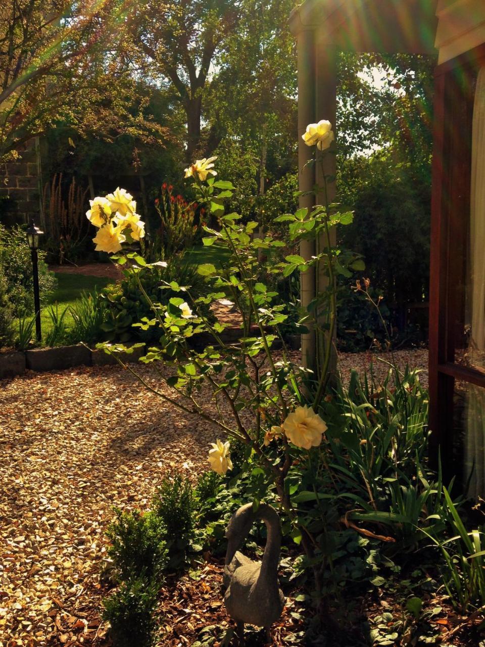 Bindley House B&B Cottage Kilmore Exteriör bild
