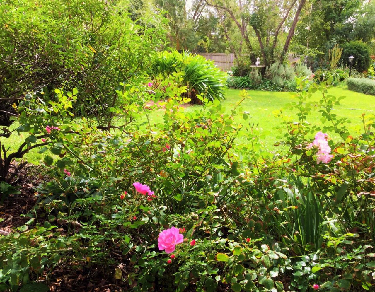Bindley House B&B Cottage Kilmore Exteriör bild
